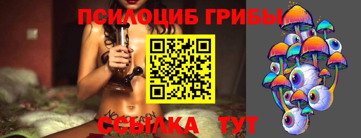 Галлюциногенные грибы прущие грибы Старая Купавна